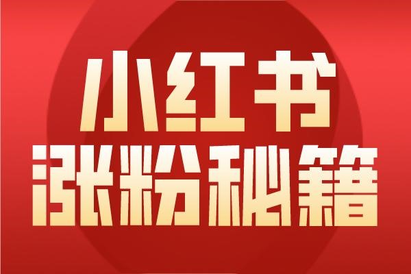 小红书企业账号怎么开通子账号?